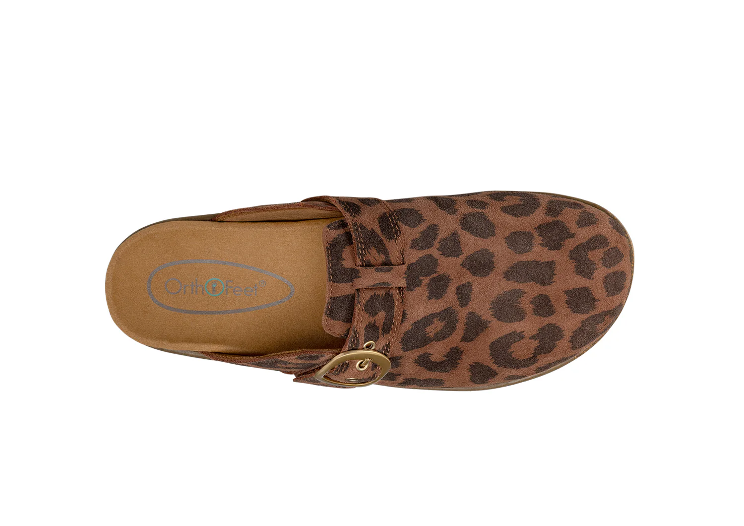 Casey - Leopard - Image 9
